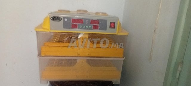 Couveuse 112 œufs en bon état à vendre 
