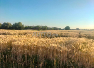 TERRAIN A LOUER PRES DE MARRAKECH