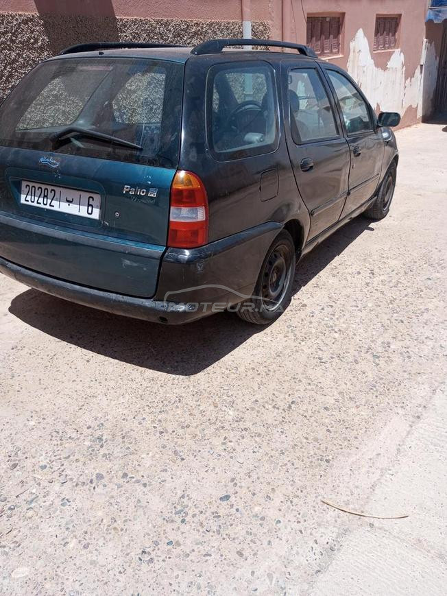 fait palio brik