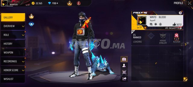 compte free fire 
