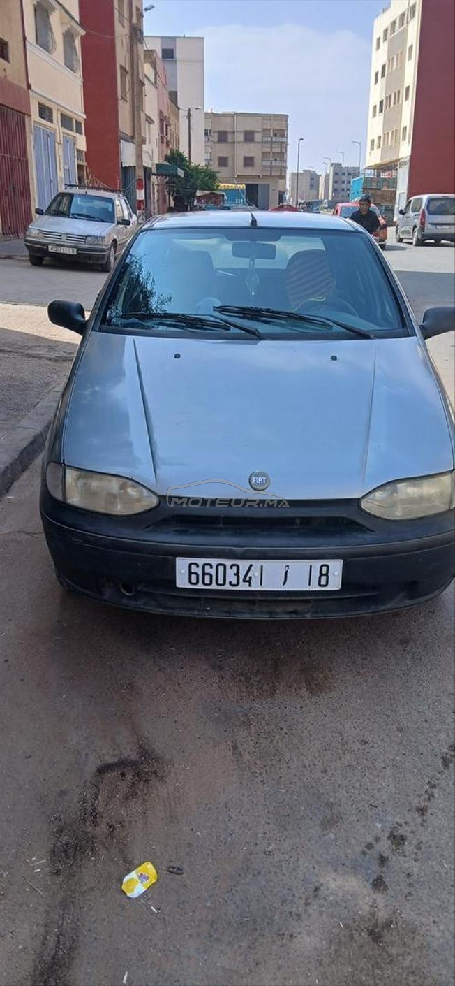 fiat نقية 