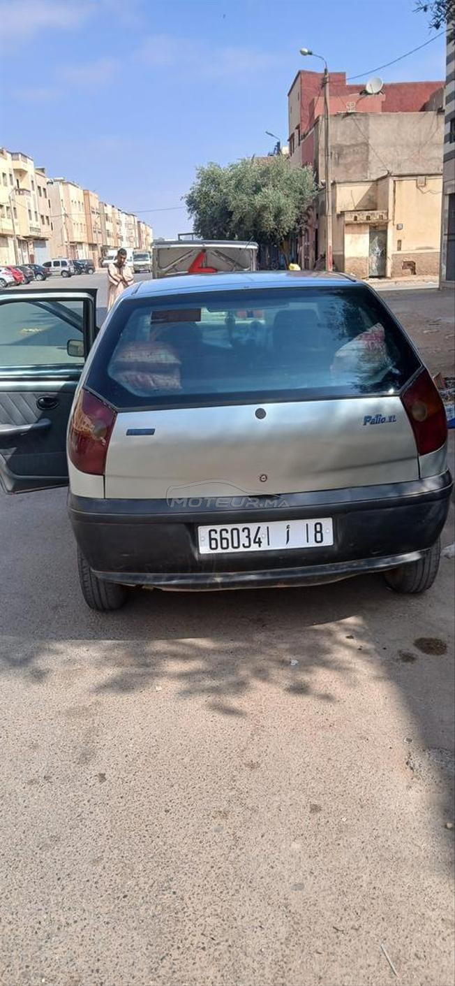 fiat نقية 