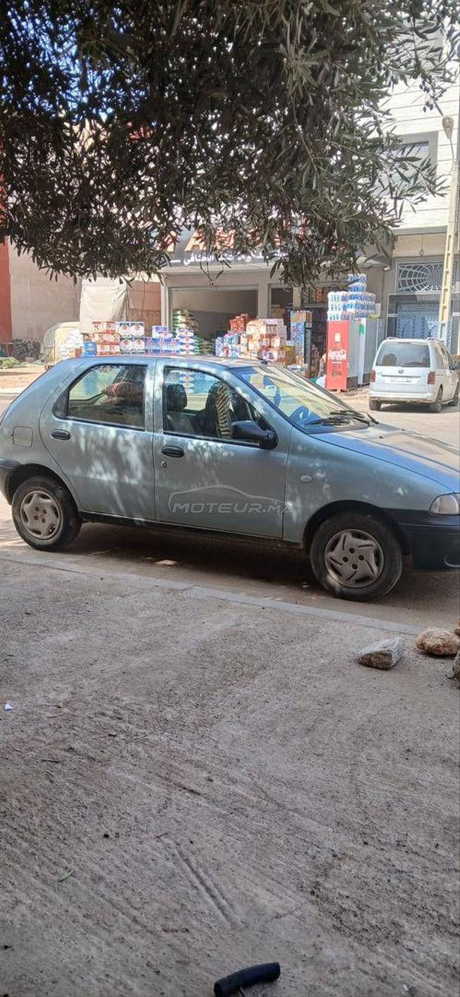 fiat نقية 