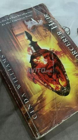 The sorcerer heir by cinda williams chima