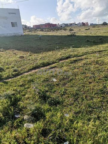 قطعة أرضية في منطقة دعيدعات - كزناية - طنجة - 2
