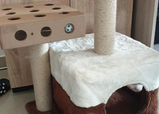 Accessoires pour les chats   لوازم القطط