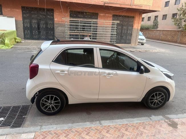 kia picanto