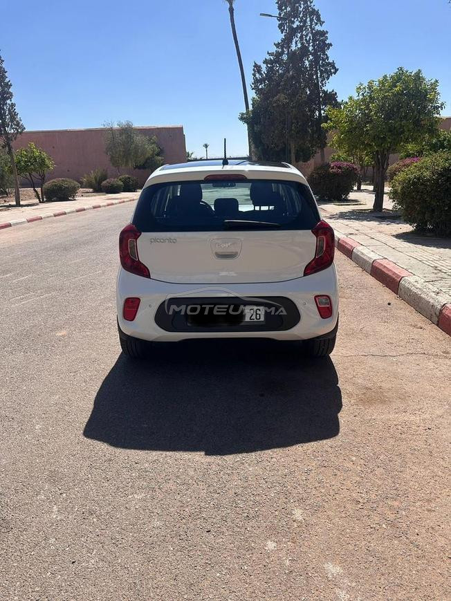 kia picanto