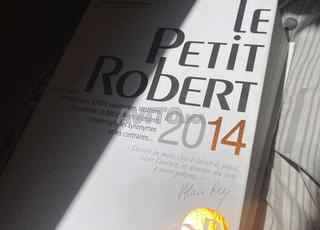 dictionnaire la petit robert version 2014