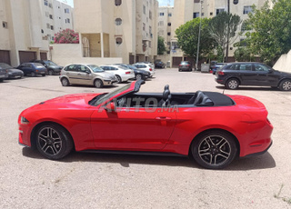 Mustang diwana avril 2025