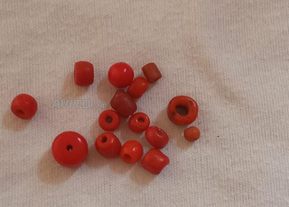 مرجان حر عندو اكتر من 2 قرون