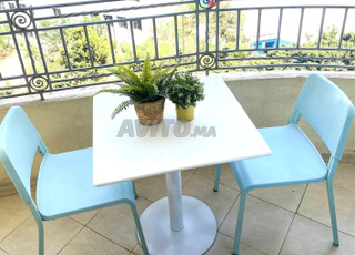 Table de jardin et 2 chaises Ikea 