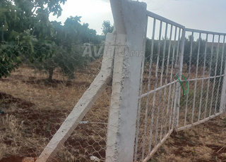 une petite ferme prix interessant