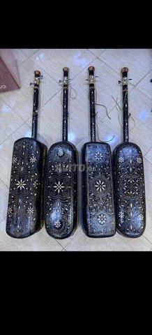Gembri hajhouj professionnels 