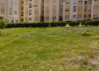 كينزي 2 طبق الارضي 