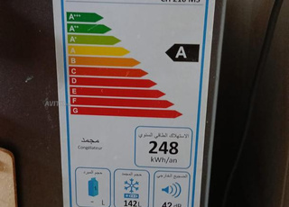 Royal CH300MS - Congélateur Coffre