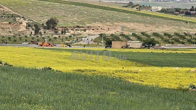 Terrain titré à vendre à Sidi Hazem route de Oujda