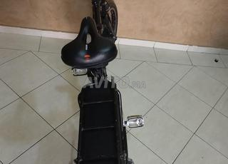 vélo électrique wayscral Flexy 215