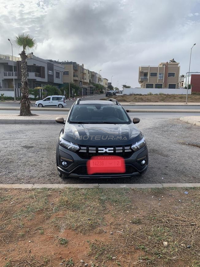 sandero