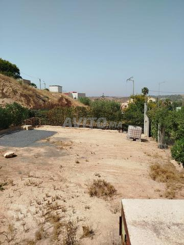 مركز سيدي موسى بن علي المحمدية