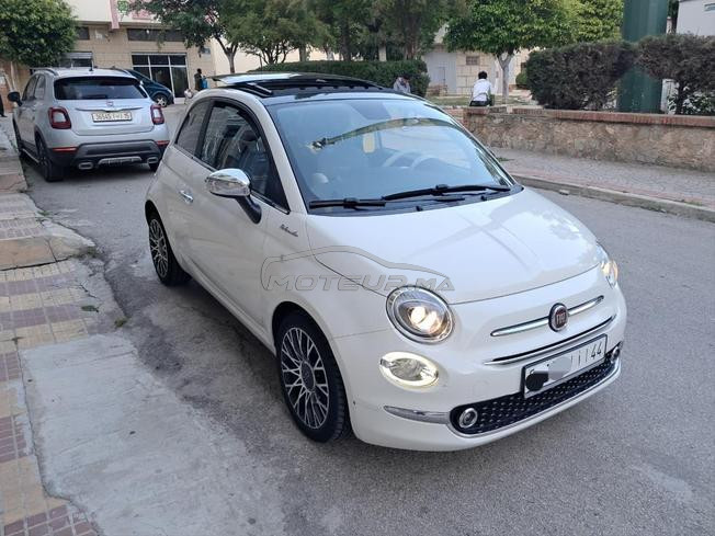 Fiat 500 modèle 2021 1ère main 