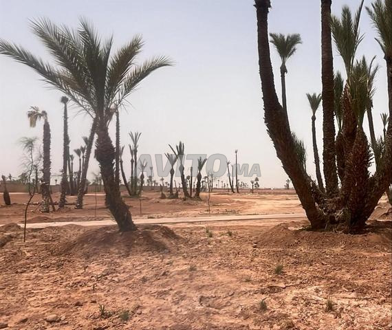 Terrain titré à vendre, 10 Km du centre ville