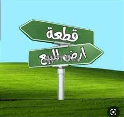 بقعة أرضية للبيع مساحتها 6   قطارات،  موقع مزيان 