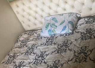 appartement en collocation