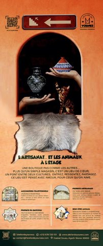 toilettage animalerie artisanat marocain