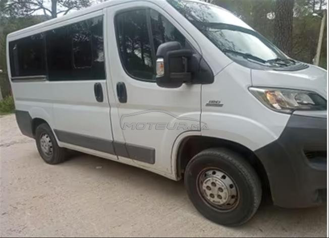 Fiat Ducato Diesel Manuelle 2017 à Tanger