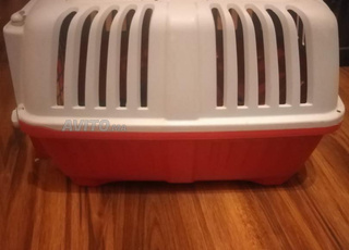 7 accessoires pour chien