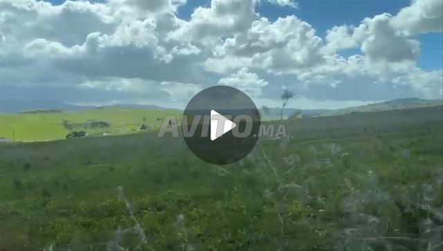 اراضي للبيع في الشعيرة العوامة طنجة 