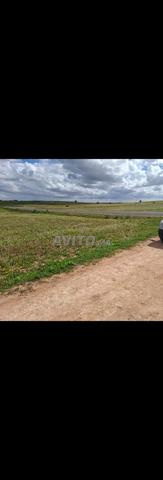 terrain à Vendre – 11 705 m² – 10 min Ouled Frej - 2