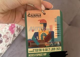 gnaoua festival pass 3j 