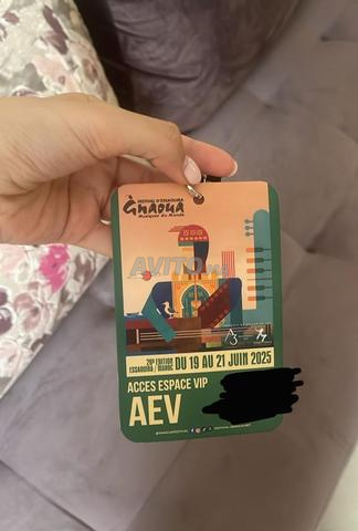 gnaoua festival pass 3j 