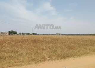 Ter titre 11300m2 kamouni