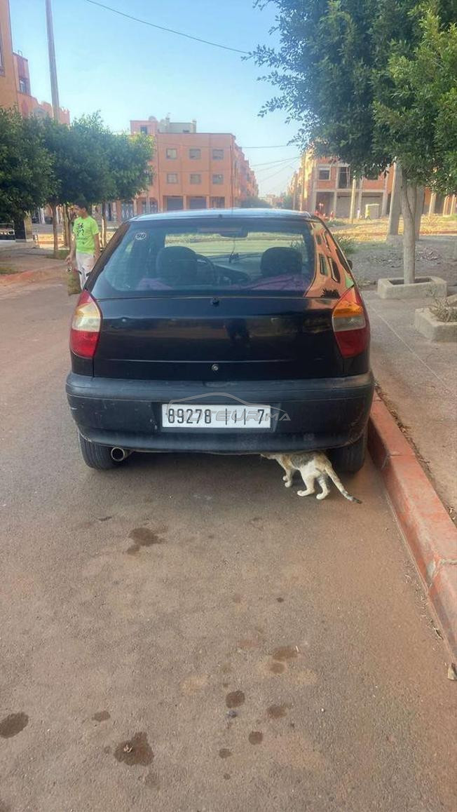 fiat 