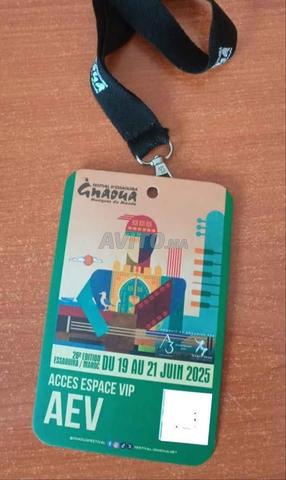 Badge VIP du Festival Gnaoua 3 jours 2025