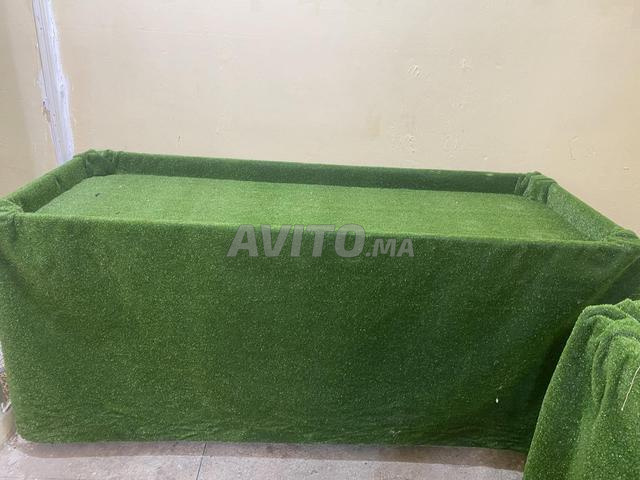 Table fruit et legum - 2