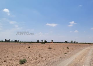Terrains de 5 hectares en réquisition Rte Amizmiz 