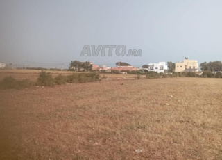 terrain de 3 hectares a sidi rahal