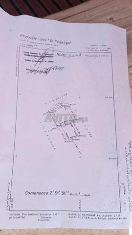 terrain de 3 hectares a sidi rahal - 2