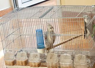 avendre كلوبسيت