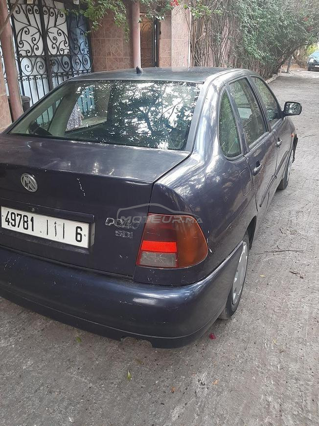polo clasique