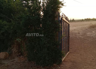 1 hectar prix incroyable