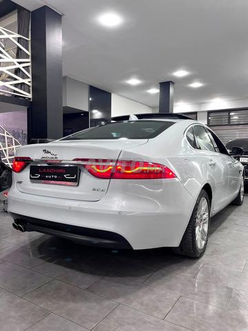 اليد الأولى جاغوار XF بريستيج (صيانة منزلية)