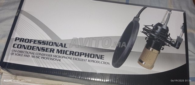 Professional Condenser Microphone