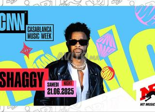 4 tickets (Accès black) - Shaggy ( 21 juin)