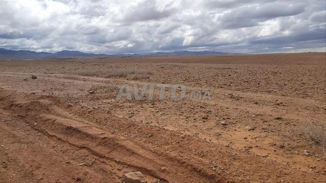 أرض للبيع فيها البير اصور طريق تمصلوحت 