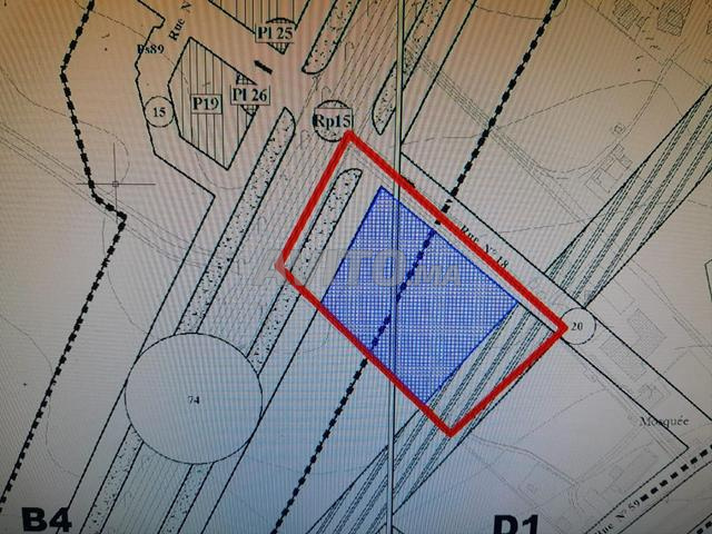Terrain d'un hectare, grande route de la frontière